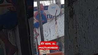 El Pollo Araña es Real !!!