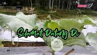 hamparan persawahan #keseneng #sinduagung #selomerto #wonosobo
