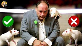 Would Tony Soprano TURNED RAT…? (Facing a Life Sentence)