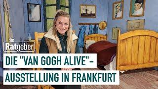 Van Gogh mit allen Sinnen – "Van Gogh Alive" | Die Ratgeber