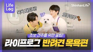 [라이프로그] 초보 견주 주목! 반려견 셀프 목욕편