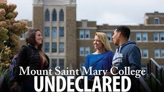 Mount Saint Mary College Undeclared