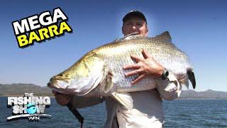 Mega Barra in Awoonga!