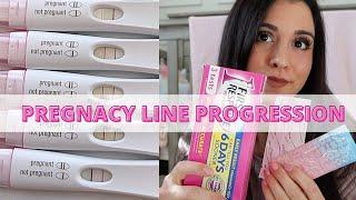 Pregnancy Line Progression 9-20DPO with HCG Betas / Pregnancy Test Reviews