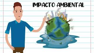 IMPACTOS AMBIENTAIS - RESUMO