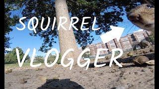 "SQUIRREL VLOGGER" takes GoPro and gives best POV EVER!!!