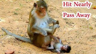 The Most SAD Crying Baby Monkey Mom Weaning Milk ,Poor baby Monkey MOm Hurt Very Bad Near Pass away