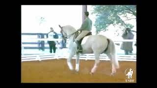 1996 USDF National Symposium: Robert Dover riding Maple Magnum