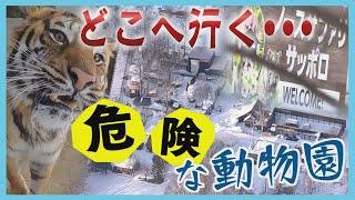 違法状態がなぜ20年間も…？動物たちはどうなる？　及び腰だった札幌市が認めた”反省点”　ノースサファリサッポロの現在地