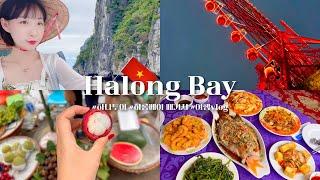 베트남 하롱베이 여행 브이로그 1탄 하나투어 패키지 생생후기! #vietnam #halongbay