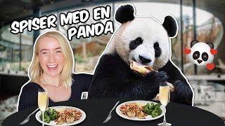 Spiser frokost med en PANDA!