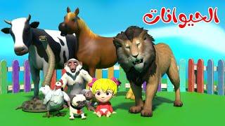 اغنية الحيوانات -  توت توت | قناة بون بون للأطفال