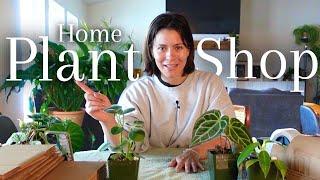 Weekly Plant Shop Routine | Running an Online Houseplant Shop from Home
