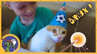 Birthday of Max. Cat Ginger - Vzhikh fulfills desires. We go to Profiland