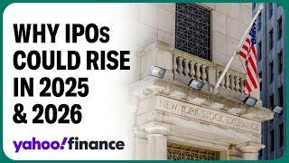 Expect IPO debuts to rise in 2025 and 2026: Analyst