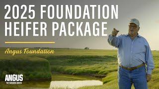 2025 Angus Foundation Heifer Package | Pollard Farms