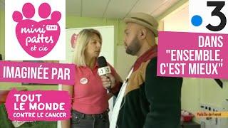 Opération Mini pattes & cie - Tout le monde contre le cancer