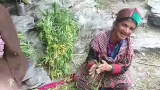 PART 2 Kasol Malana song while making Malana cream Magical Parvati Valley