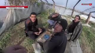 Сводка ГУ МВД России по Волгоградской области [10/10/2017]