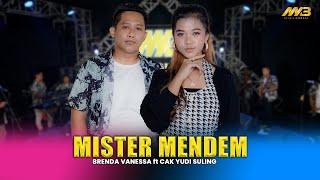 BRENDA VANESSA FEAT CAK YUDI SULING - MISTER MENDEM (Official Music Video)