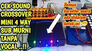 Tes Suara Crossover mini 4 Way rakitan Gleer werr icis klentung 