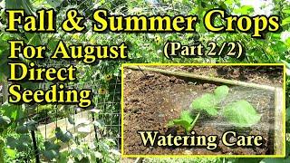 August Summer & Fall Crops to Direct Seed Part 2 of 2: Detailed Watering & Germination Examples