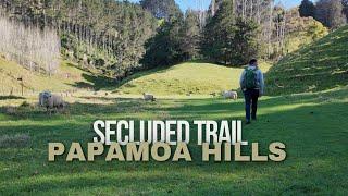 Silent Hike, Exploring Papamoa's Secluded Trail (New Zealand)