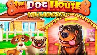 Паримач занос  слот DOG HOUSE