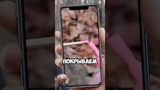 НЕПРОМОКАЕМЫЕ СПИЧКИ - Проверил лайфхак #фрост #shorts #frost #лайфхак #лайфхаки #выживание