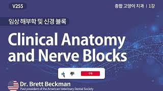 [베터플릭스] 종합 고양이 치과 1강 - 임상 해부학 및 신경 블록(Clinical Anatomy and Nerve Blocks)_강의