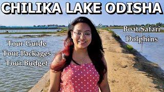 Chilika Lake | Tour Guide | Tour Packages | Chilika Tour | Puri Tour | Chilika Lake in Puri Odisha