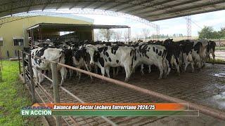 Panorama del sector lechero entrerriano - Julio Butus