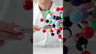 Fentanyl!! MOA AND EFFECTS  #facts #painrelief #science #drugeducation #medicaldrugs #drugusage