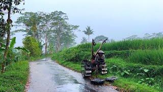 Heavy rainfall in rural Indonesia||rain for sleep deep