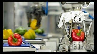 Robot-assisted packaging: 30% more productivity