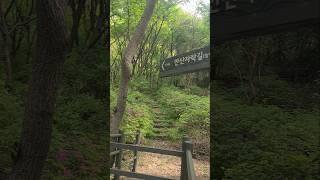 서대문 안산 자락길 산책(2025.5.8)