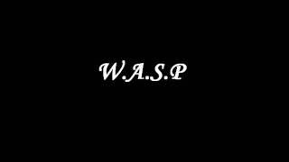 W.A.S.P