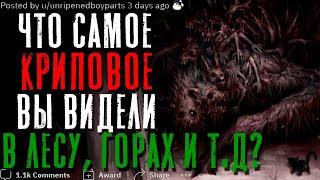 ЧТО САМОЕ КРИПОВОЕ ВЫ ВИДЕЛИ В ЛЕСУ, В ГОРАХ И Т.Д.?