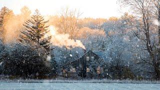 The Magic of Winter in New England ️