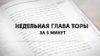Глава Ваикра "Недельная глава Торы за пять минут"