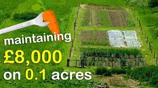 How I Am Keeping £8,000 Worth of Vegetables Alive on Just 0.1 Acres!