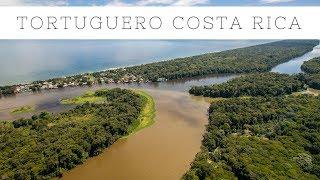 Visiting Tortuguero, Costa Rica: National Park, Turtles and Canals