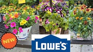 LOWE'S | HOW TO MAKE YOUR GARDEN BEAUTIFUL | WHAT FLOWERS TO BUY AT LOWE'S?