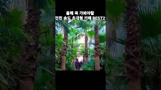 올해 꼭 가봐야할 인천 송도초대형 카페 포레스트아웃팅스+바다쏭 #shorts