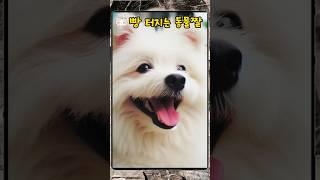 빵 터지는 동물짤 #shorts