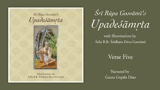 Upadesamrta Audiobook - Verse Five (kṛṣṇeti yasya giri taṁ manasādriyeta)