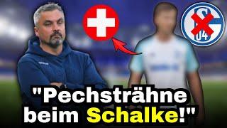 S04: UNERWARTETE BOMBE! GROSSER VERLUST FÜR DEN S04! / aktuelle nachrichten des fc schalke 04 heute