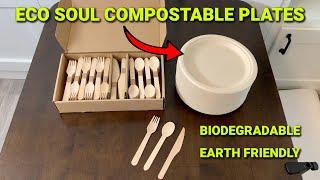 Eco Soul Compostable Paper Plates: The Biodegradable Earth-Friendly DinnerWare