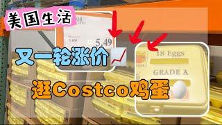 美国生活10丨吐槽Costco涨价，鸡蛋又开始缺货了。省钱任重而道远。