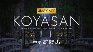 四季 高野山 【#4k  #8k  #60p 】【サンプル動画】【#絶景 #四季 】